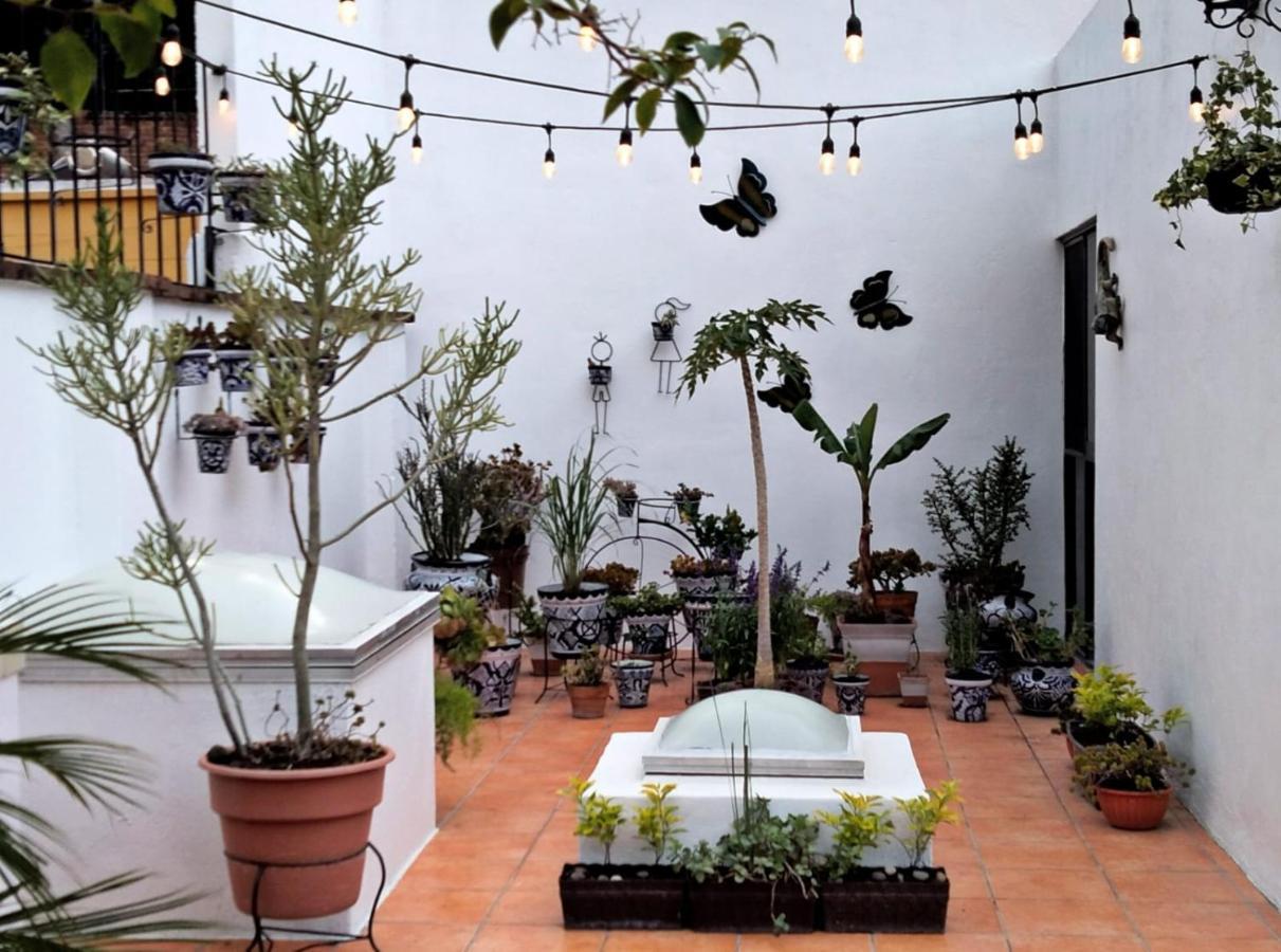 Villa Sueno Azul B&B Guanajuato Eksteriør bilde